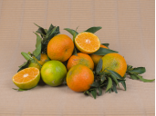 Comprar MANDARINES